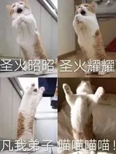 生生不息 | BCAF 周末专栏【我们】 BCAF 崇真艺客